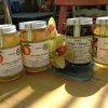Raspberry Jelly - Imagen 3