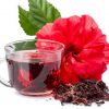 Hibiscus Extract - Hibiscus Sabdariffa L. Flower - More than Five Container Price - Imagen 4