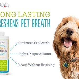 Oxyfresh Premium Pet Dental Care Solution Aditivo de agua para Pets: La mejor manera de eliminar el mal aliento de perros y gatos - Combate el sarro y la placa - ¡Tan fácil, solo agréguelo al agua! Recomendado por veterinarios - Imagen 2
