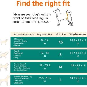 Amazon Basics Envoltura para perros machos, pañales desechables - Imagen 5