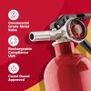 First Alert HOME1 Extintor de incendios estándar recargable para el Home & Kitchen Clasificación UL 1-A:10-B:C, rojo - Imagen 3