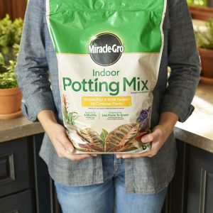 Miracle-Gro Indoor Potting Mix 6 qt., cultiva hermosas plantas de interior - Imagen 3
