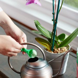 Miracle-Gro Alimento soluble en agua para orquídeas, fertilizante para plantas, 8 oz. - Imagen 6