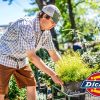 Dickies Dri-tech Moisture Control Quarter Calcetines para hombre Multipack - Imagen 3