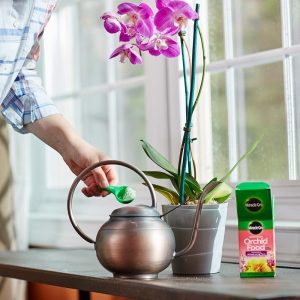 Miracle-Gro Alimento soluble en agua para orquídeas, fertilizante para plantas, 8 oz. - Imagen 5