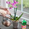 Miracle-Gro Alimento soluble en agua para orquídeas, fertilizante para plantas, 8 oz. - Imagen 8