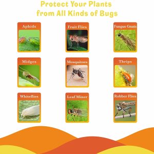 Paquete de 12 trampas adhesivas para moscas de frutas y trampas para mosquitos de hongos para interior y exterior, atrapa insectos de plagas de plantas de casa, no tóxico e inodoro - Imagen 4