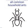 TERRO T300B Liquid Ant Killer, 12 estaciones de cebo - Imagen 2