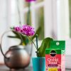 Miracle-Gro Alimento soluble en agua para orquídeas, fertilizante para plantas, 8 oz. - Imagen 3