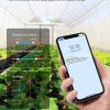 Govee Termómetro higrómetro digital Bluetooth para interiores, medidor de sensor de temperatura y humedad de la habitación con monitoreo remoto de aplicaciones, pantalla LCD grande, alertas de notificación, exportación de almacenamiento de datos de 2 años, negro - Imagen 5