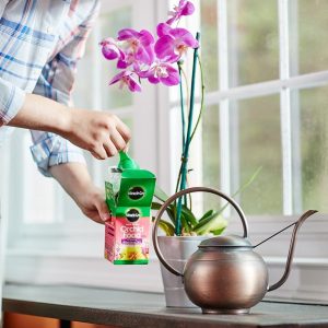 Miracle-Gro Alimento soluble en agua para orquídeas, fertilizante para plantas, 8 oz. - Imagen 4