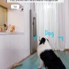 Eufy Security Solo IndoorCam C24, cámara interior de seguridad 2K, cámara enchufable con Wi-Fi, cámara IP, IA humana y de Pets, compatibilidad con asistente de voz, visión nocturna, audio bidireccional, no compatible con HomeBase - Imagen 3