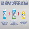 Aditivo desinfectante para lavandería Lysol, lino crujiente, 90 oz, el empaque puede variar - Imagen 10