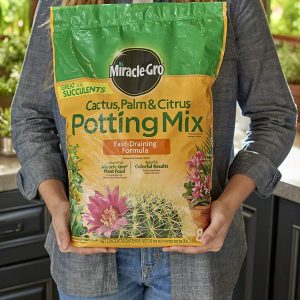 Miracle-Gro Mezcla para macetas de cactus, palmeras y cítricos, 8 qt. - Imagen 6