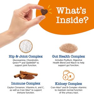 Suplementos multifuncionales para perros - Condroitina de glucosamina para apoyo articular con probióticos para la Salud y Belleza intestinal e inmune - Aceite de pescado omega con antioxidantes y vitaminas para la Salud y Belleza de la piel y el corazón - Imagen 3