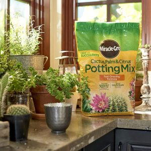 Miracle-Gro Mezcla para macetas de cactus, palmeras y cítricos, 8 qt. - Imagen 5
