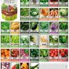 Survival Vegetable Seeds Garden Kit Más de 16,000 semillas Non-GMO y Heirloom, ideal para emergencias Bugout Survival Gear 35 Variedades Semillas para plantar vegetales 35 Marcadores de plantas gratis Conceptos básicos para jardineros