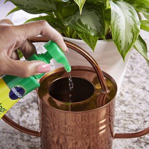 Alimento para plantas de interior Miracle-Gro (líquido) - Imagen 6