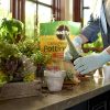 Miracle-Gro Mezcla para macetas de cactus, palmeras y cítricos, 8 qt. - Imagen 8