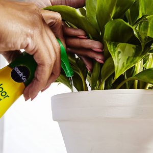 Alimento para plantas de interior Miracle-Gro (líquido) - Imagen 5