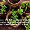FoxFarm Ocean Forest Potting Soil Mix interior exterior para jardín y plantas | Fertilizante para plantas | 12 cuartos + THCity Stake - Imagen 2