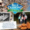Blue Diamond Almendras horno asado chocolate oscuro con sabor a nueces, bolsa resellable de 25 oz (paquete de 1) - Imagen 5