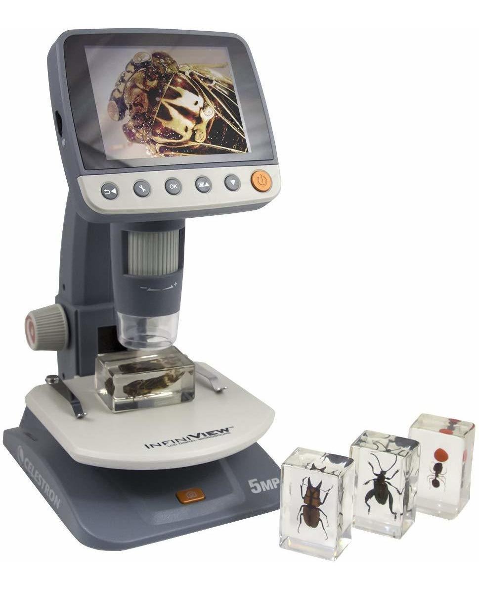 Celestron 44409 3d Bug Muestras Kit # 3 (negro, Naranja, Mar