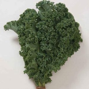 Davids Garden Seeds Kale Winterbor 5379 (verde) 100 Semilla