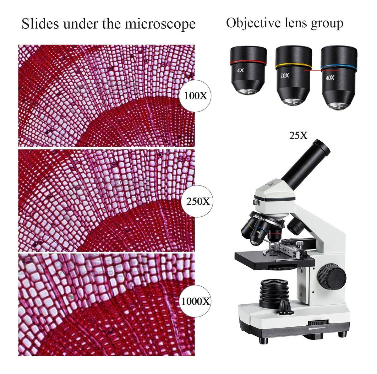 1000x Microscopio Compuesto Para Estudiantes Con Kit Portaob