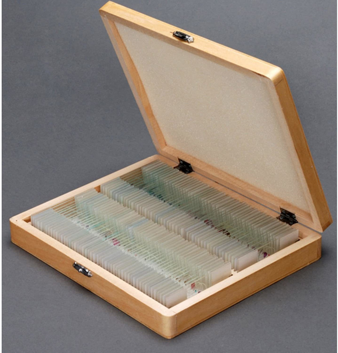 Amscope B120c-wm-ps100 Siedentopf Microscopio Binocular Comp