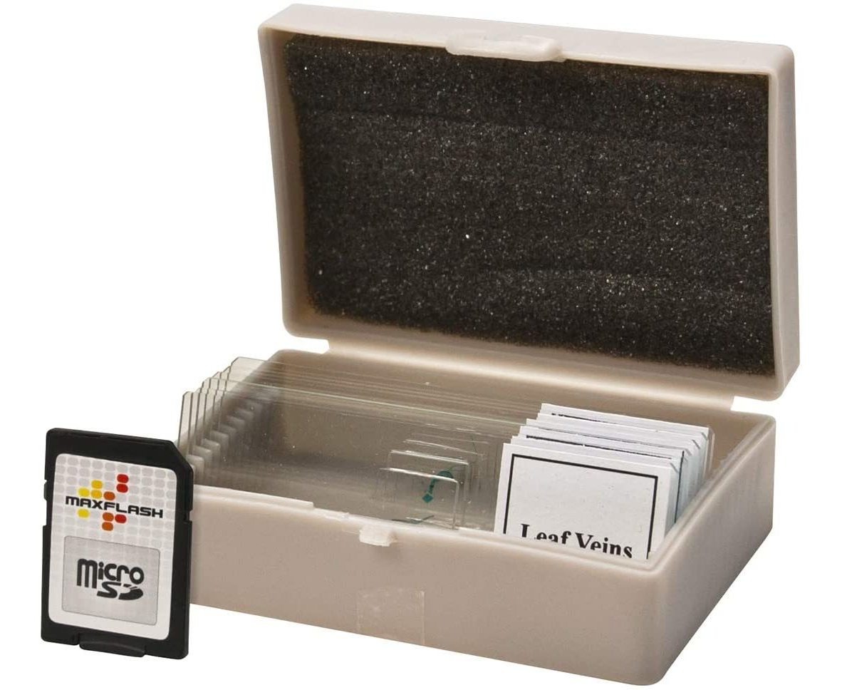 Celestron - Lcd Microscopio Digital Ii - Microscopio Biológi