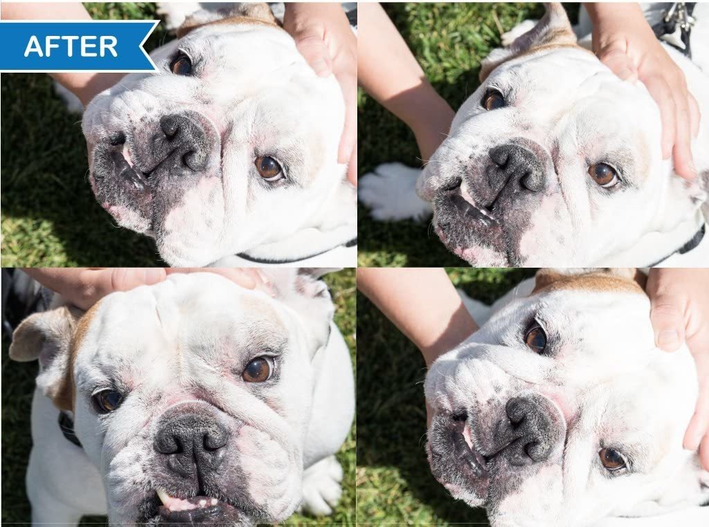 Squishface Arrugas Pegar - 2 Tubos - Limpia Las Arrugas, Man