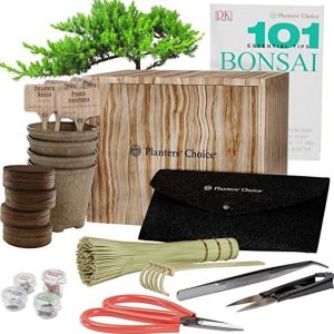 Kit De Árbol De Bonsái Todo En Uno + 101 Consejos Esenciales