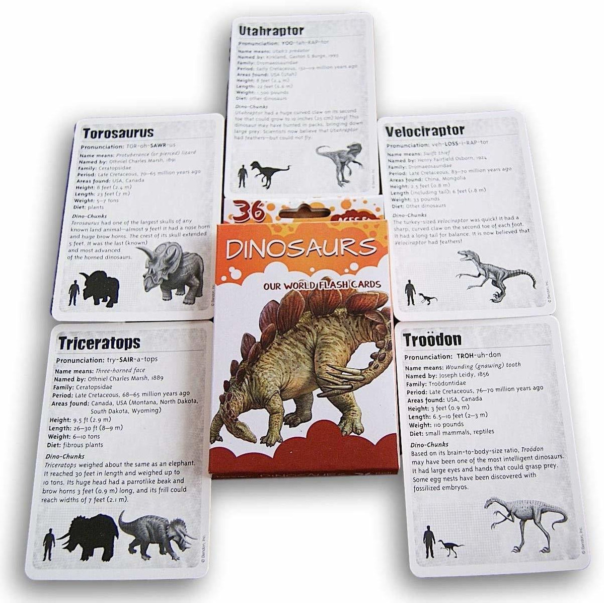 Bendon Dinosaurios Flash Cards