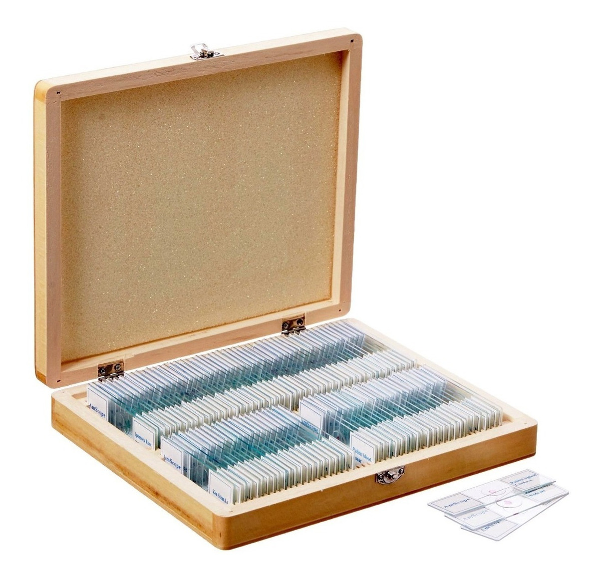 Amscope Ps100e Biología Básica Portaobjetos Preparado Ajuste