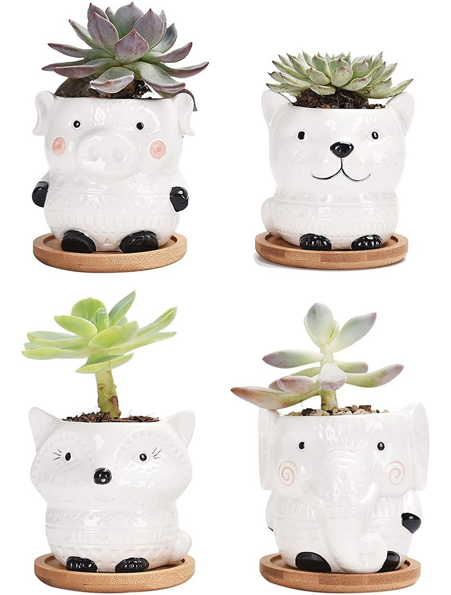 Macetero Para Plantas Con Forma De Cactus Y Plantas De Cerám