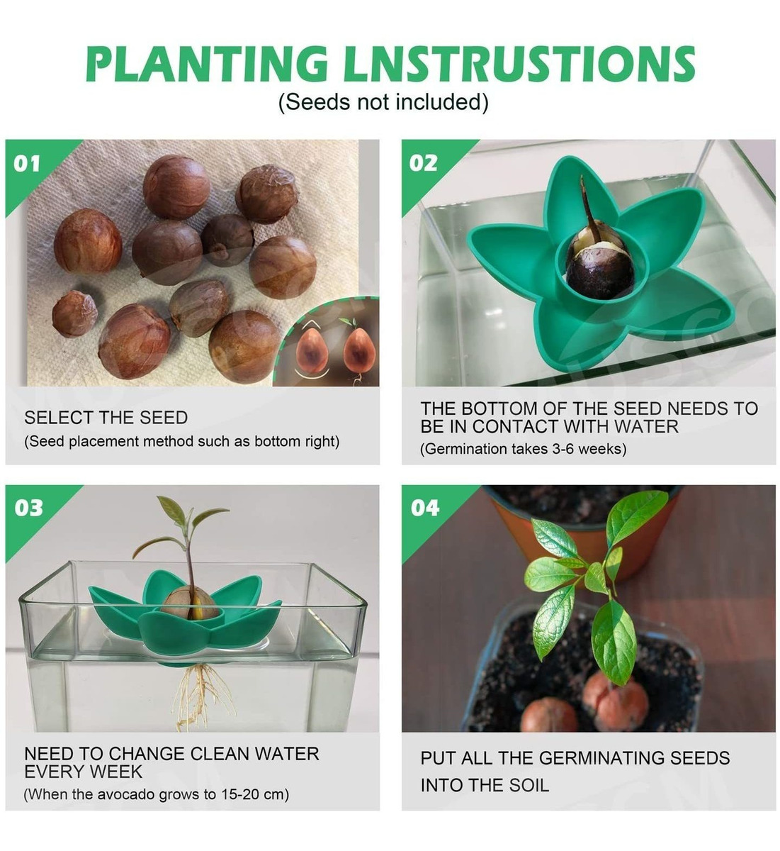 Muscccm Aguacate Árbol Cultivo Y Kit De Aguacate Planta El G