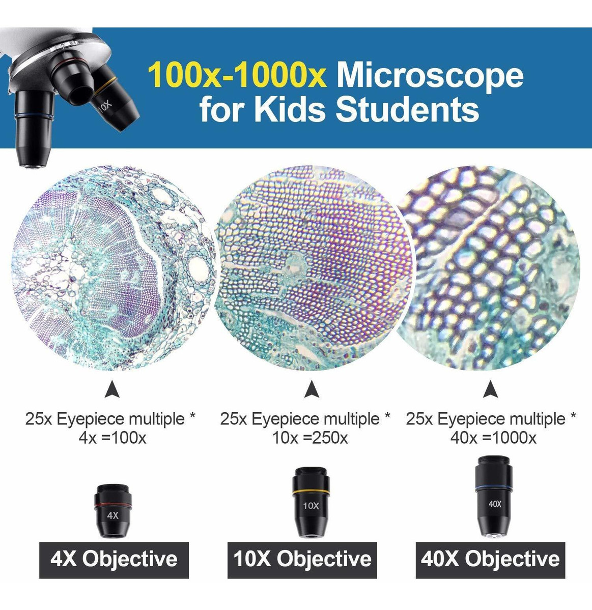100x-1000x Microscopio Para Niños Los Estudiantes Principian