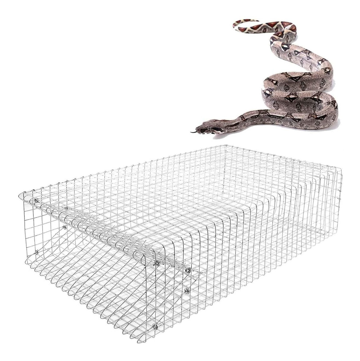 Amazingtraps La Increíble Trampa Humana De Serpiente Captu