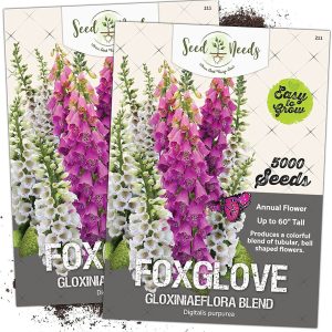 Seed Needs, Gloxiniaeflora Foxglove (digitalis Purpurea) Twi