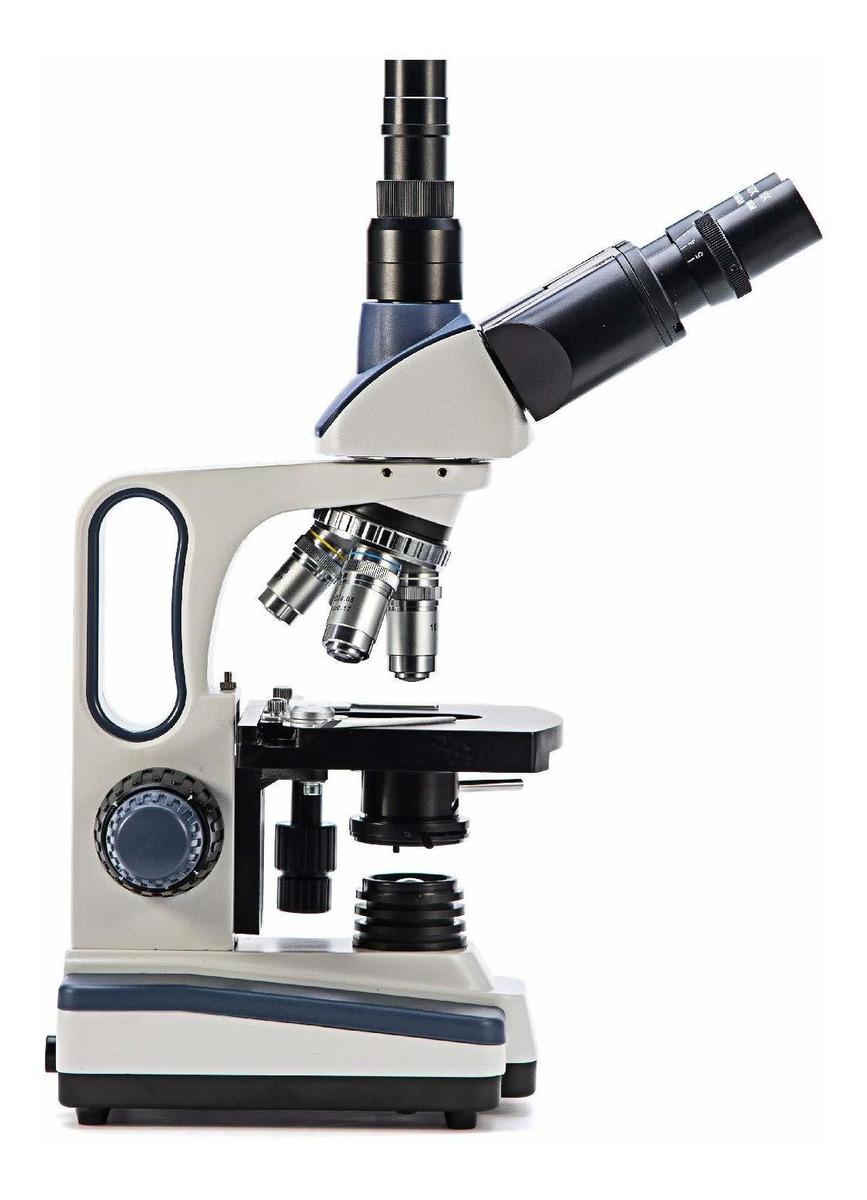 Swift Sw350t 40x-2500x Magnificación, Siedentopf Jefe, Inves