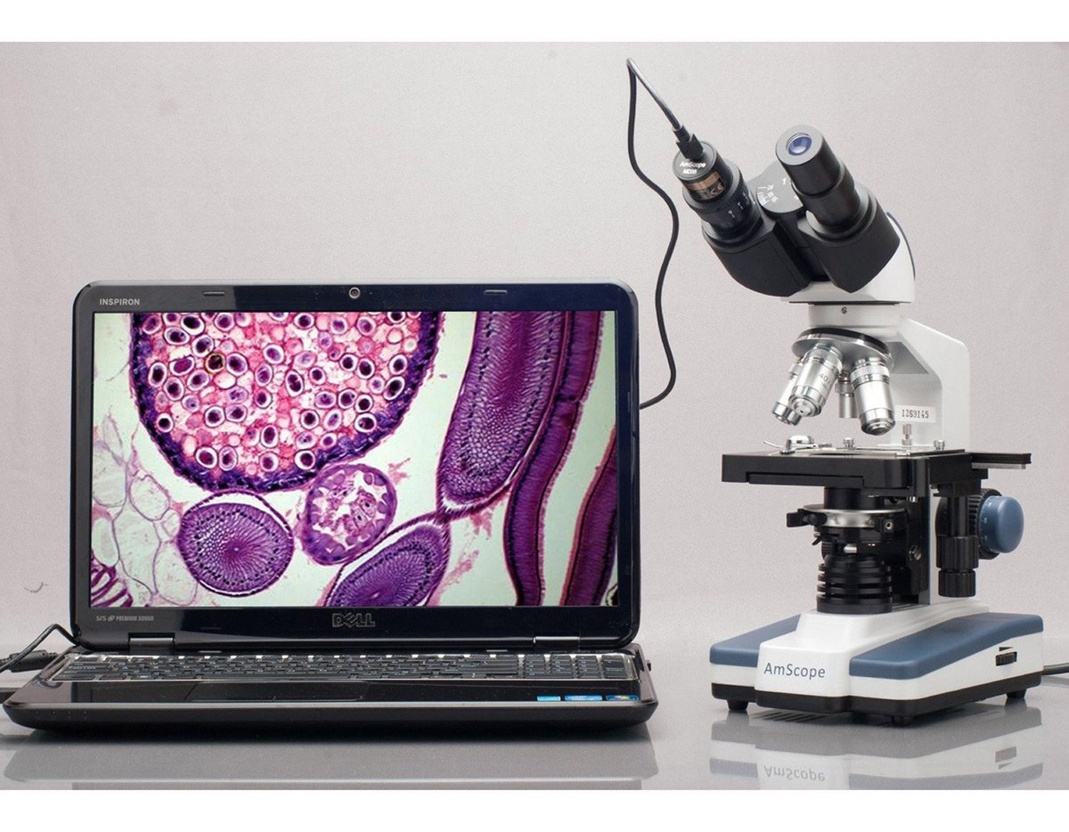 Usb De La Cámara Md35 Amscope Nueva Microscopio Digital Imag