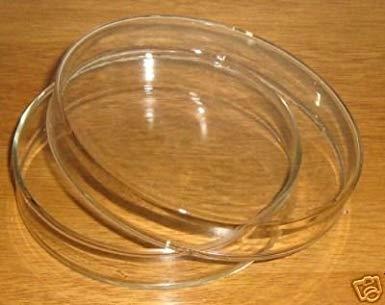 5 De Petri De Vidrio De 60 Mm Plato, Placa De Cultivo Tisula