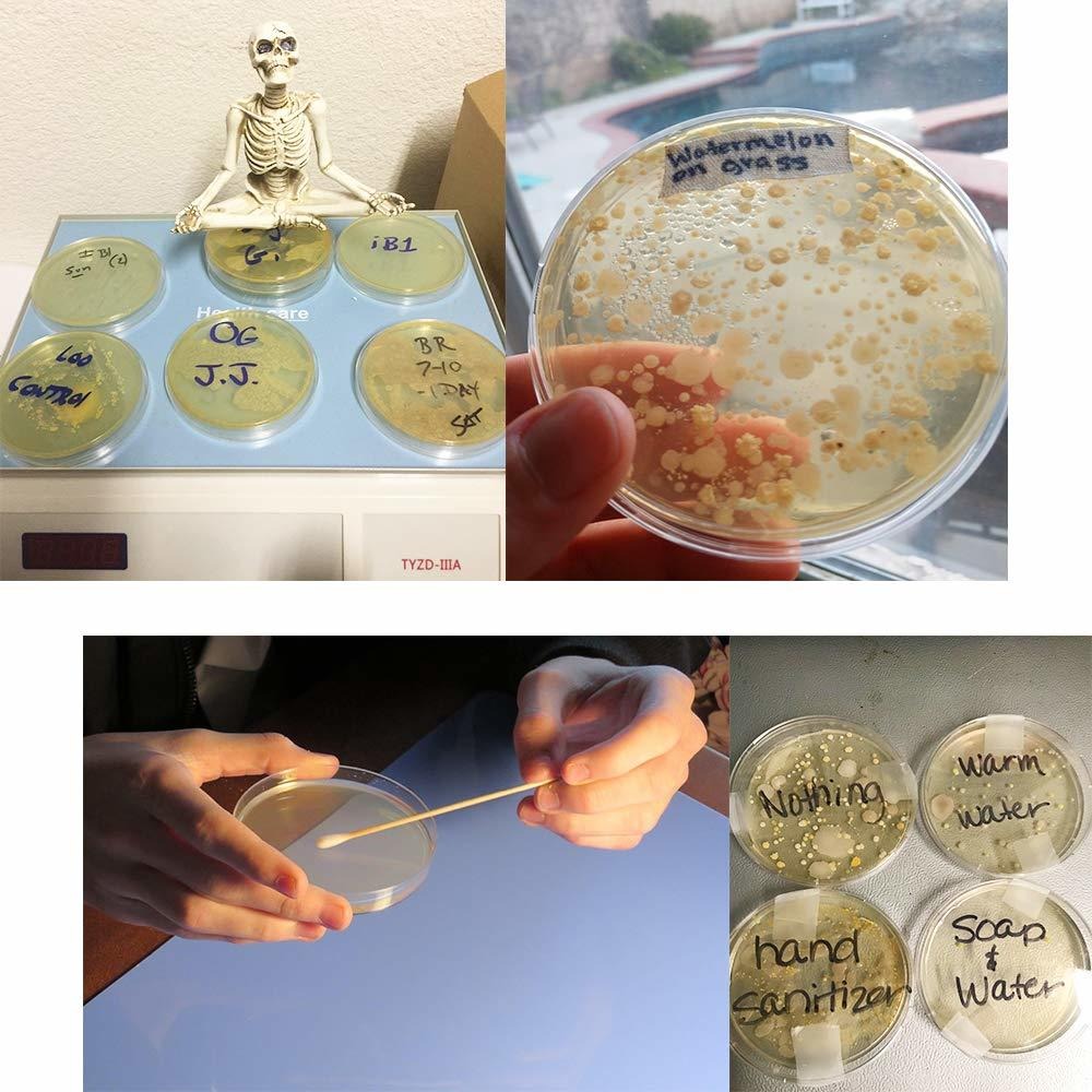 Paquete De 30 Platos Petri De Plástico, 3.543 X 0.591 En Tra