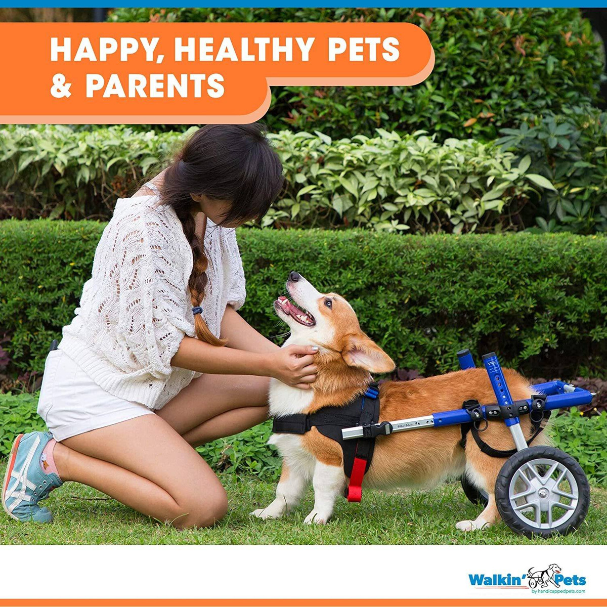 Walkin' Ruedas Corgi - Silla De Ruedas Para Perros Pequeños