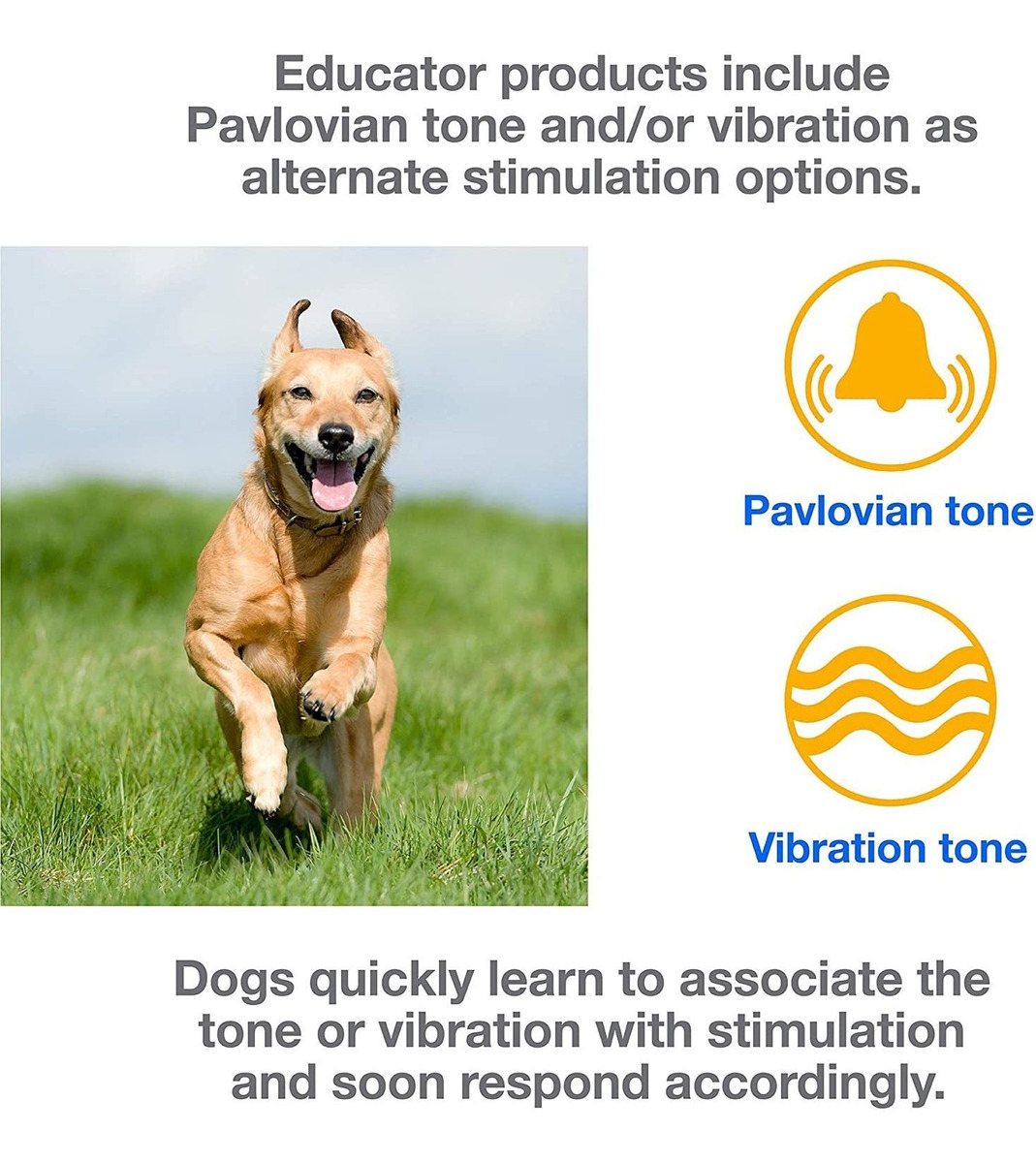 Educador E-collar Collar Alejado Del Entrenamiento Del Perro