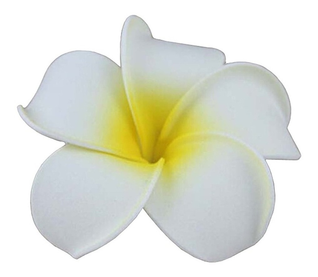 Clip Pasamontañas 3 De La Manera De Las Pc De Hawai Plumeria