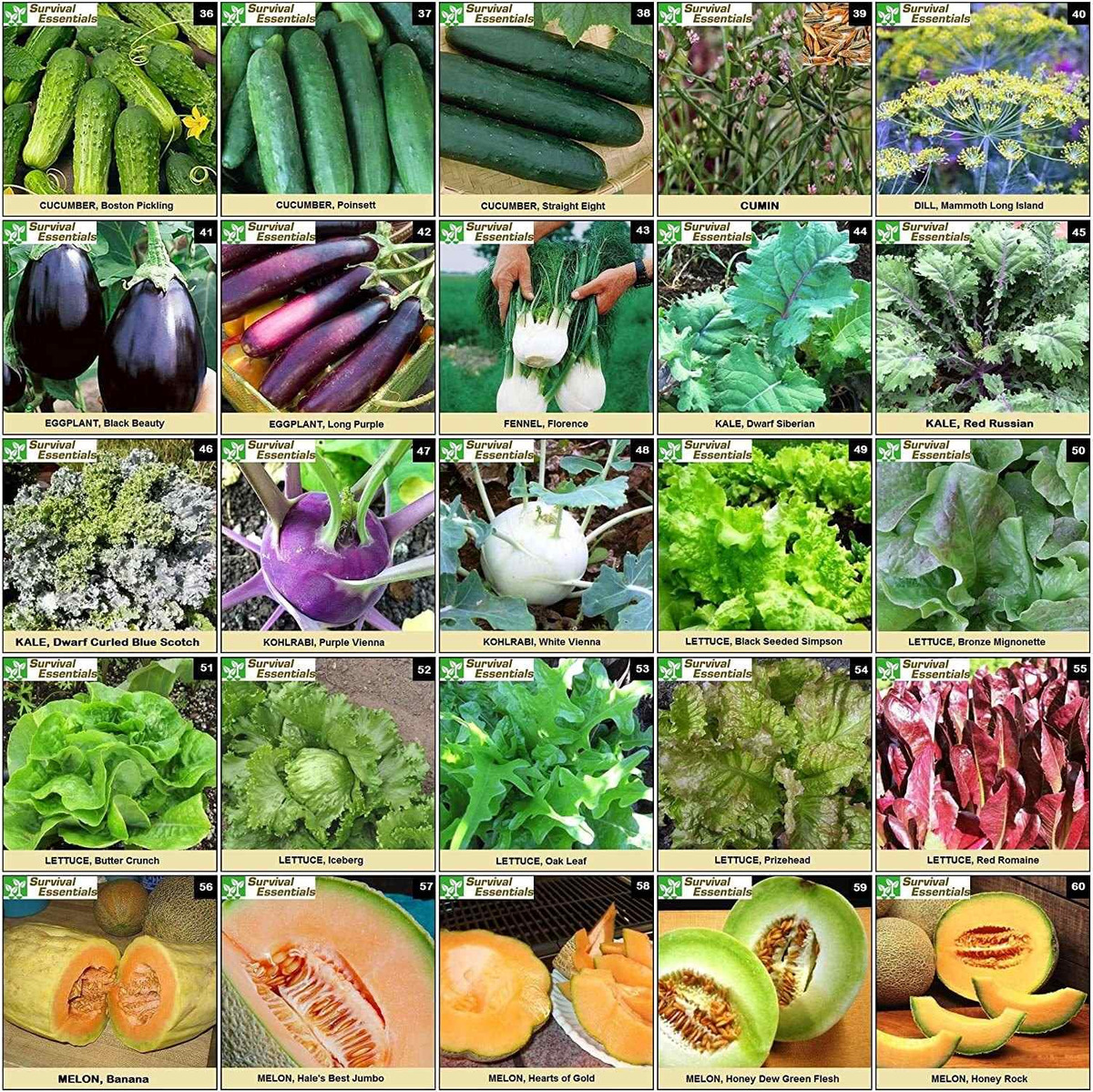 Banco De Semillas Survival Essentials, 135 Variedades Crioll