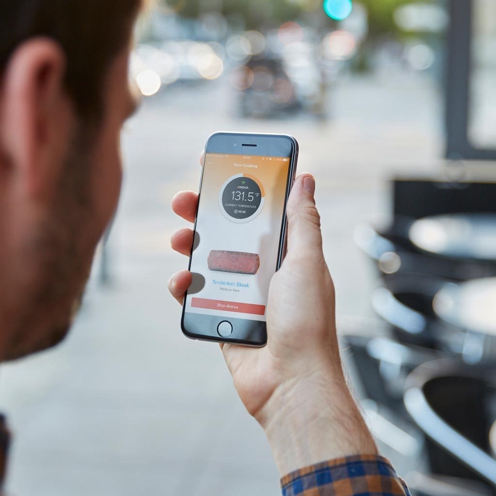 Anova Culinario Sous Vide Precisión Cocina Wifi, Circulador