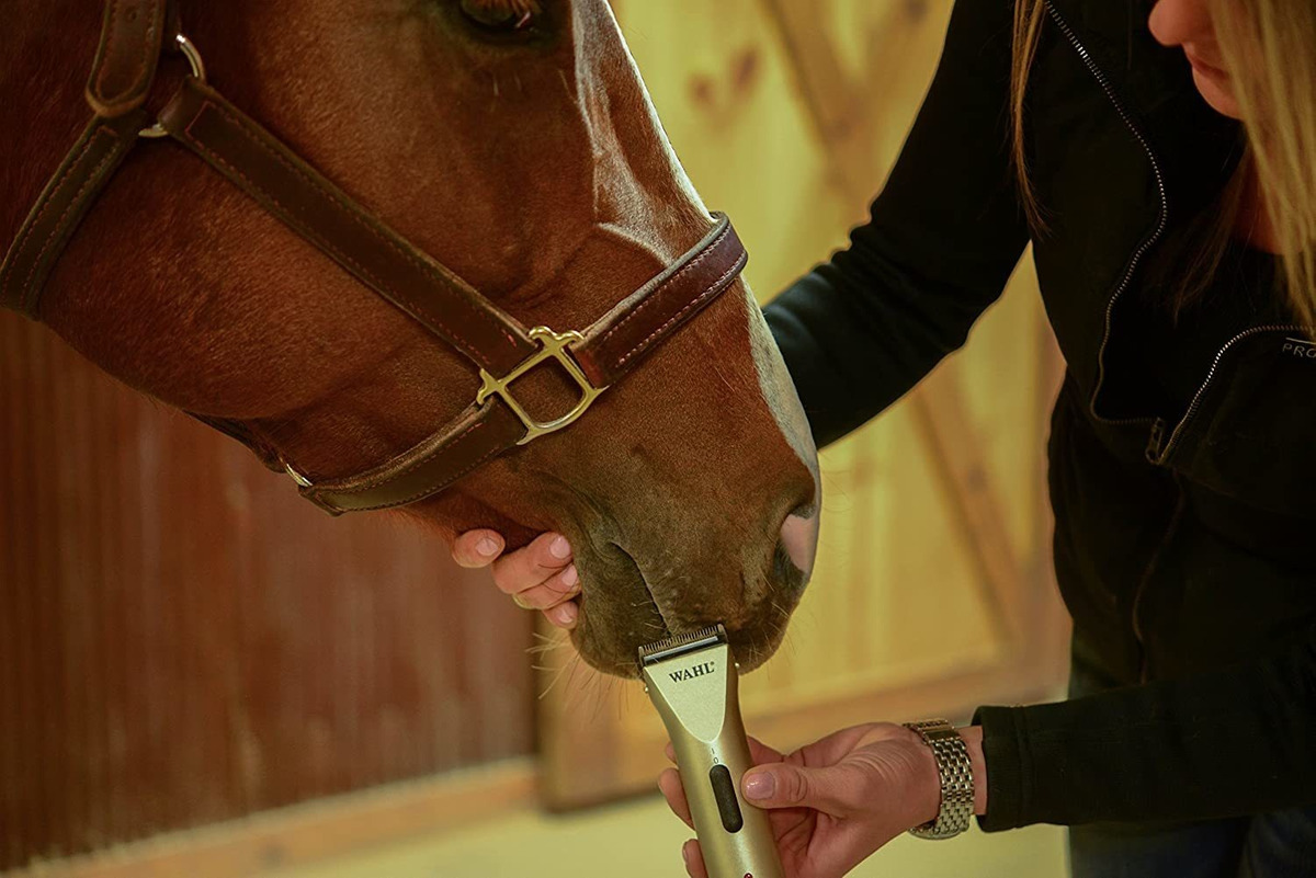 Wahl Professional Animal Arco Para Caballos Inalámbrico Clip